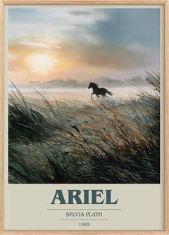 Ariel Book Cover Poster by Sylvia Plath