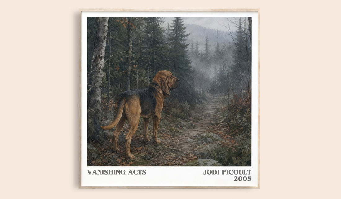 Vanishing Acts literary book poster by Jodi Picoult – framed literary art print