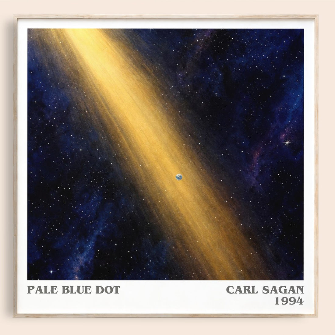 Pale Blue Dot literary book poster by Carl Sagan – framed literary art print