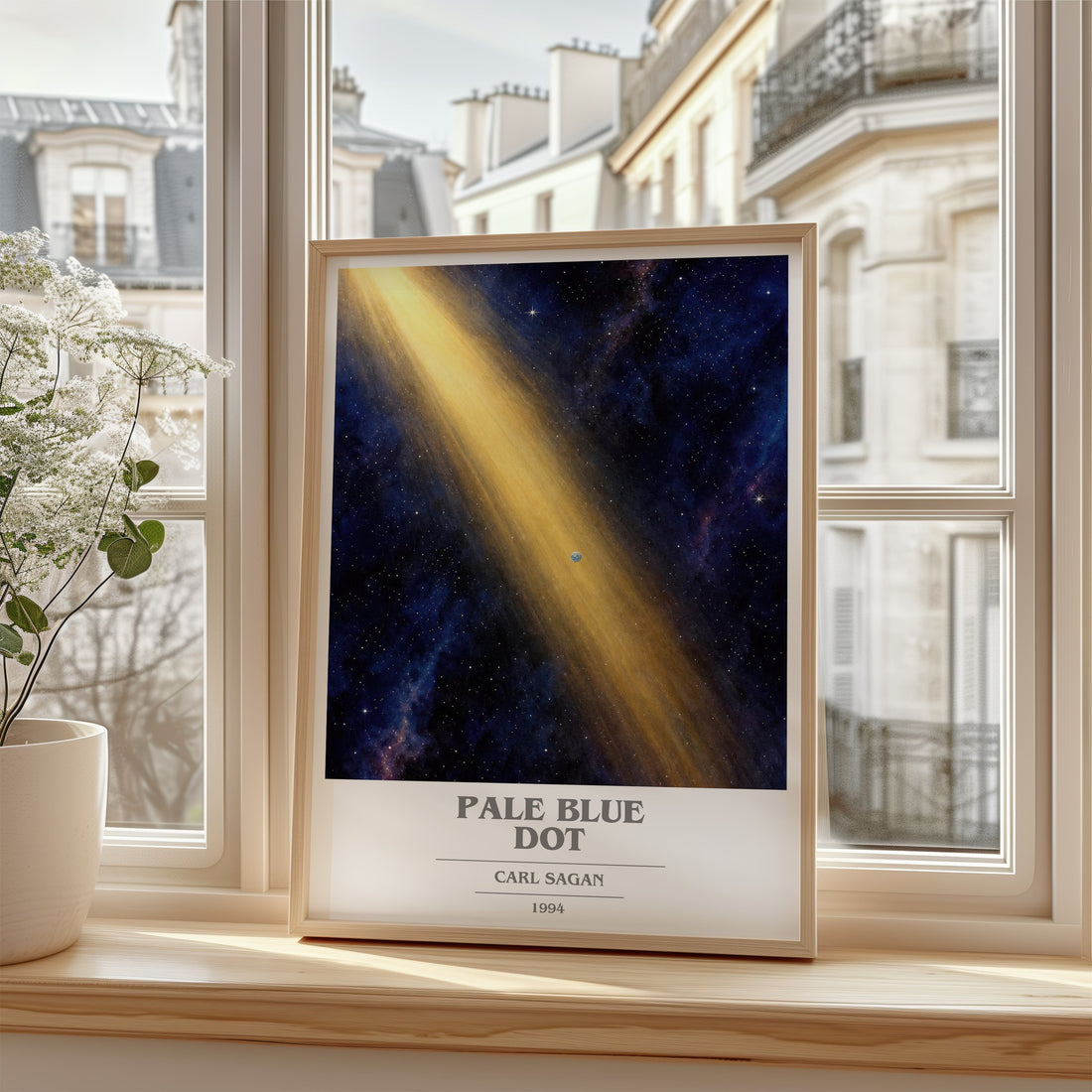 Pale Blue Dot book cover poster colour and style options – Carl Sagan book art