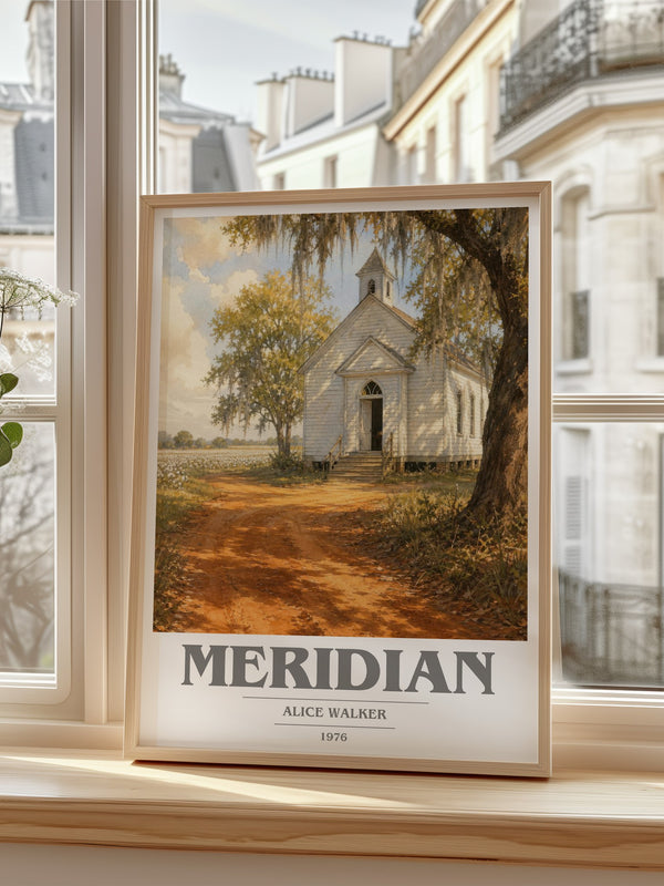 Meridian book cover poster colour and style options – Alice Walker book art