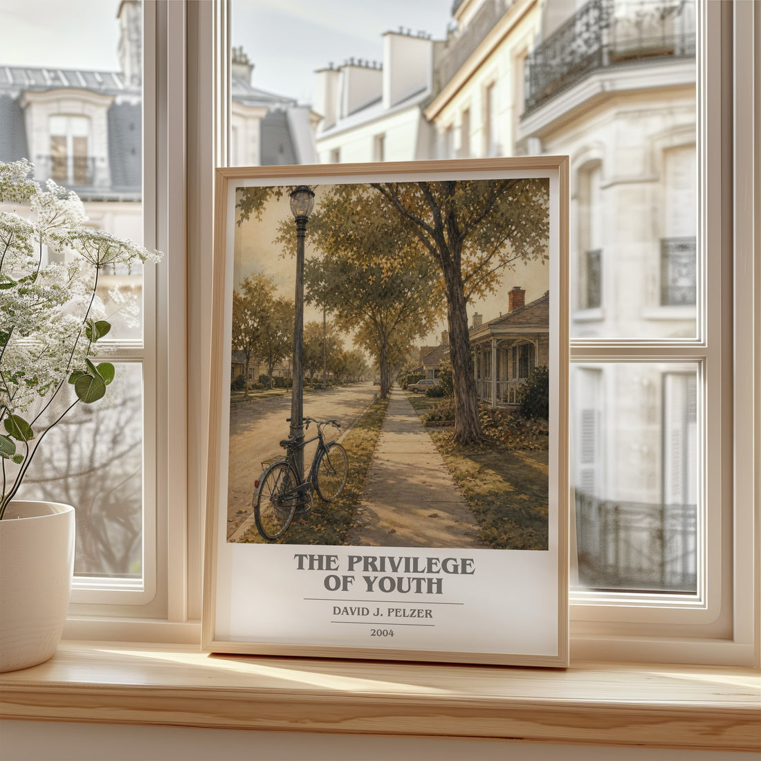 The Privilege of Youth book cover poster colour and style options – David J. Pelzer book art