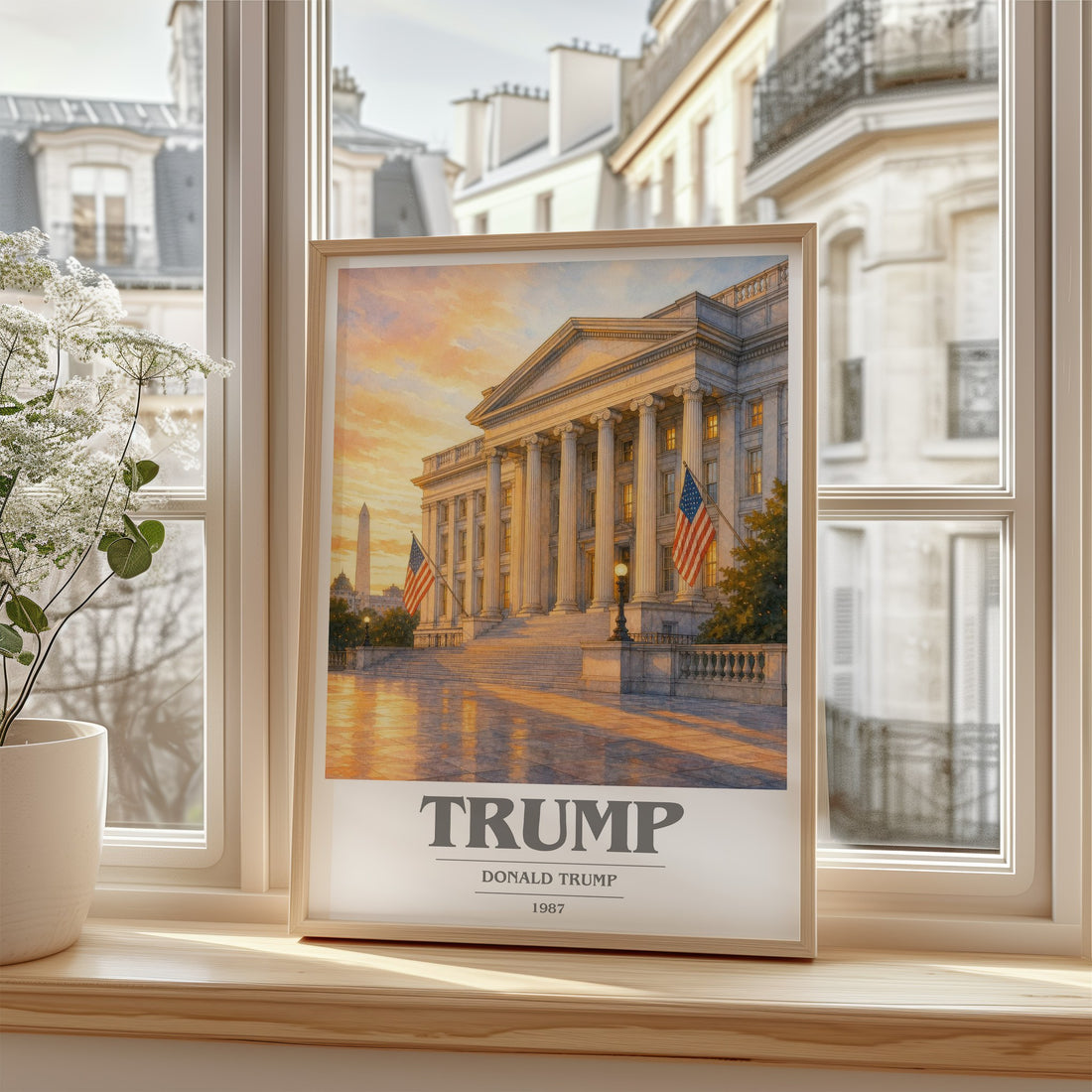 Trump book cover poster colour and style options – Donald Trump book art