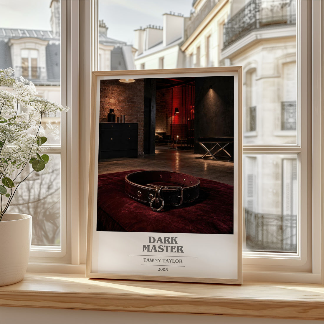 Dark Master book cover poster colour and style options – Tawny Taylor book art