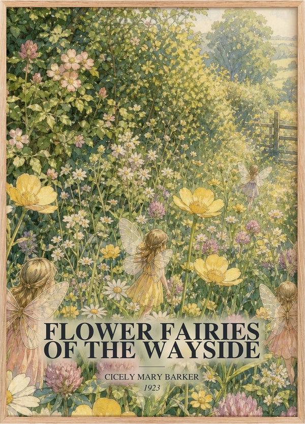 Flower Fairies of the Wayside Book Watercolour Illustration by Cicely Mary Barker