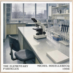 The Elementary Particles Literary Art Print by Michel Houellebecq