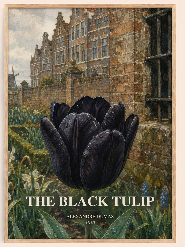 The Black Tulip Book Watercolour Illustration by Alexandre Dumas