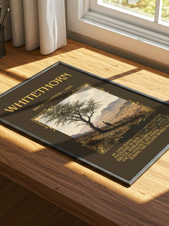 Whitethorn Minimalist Book Poster by Bryce Courtenay – image 4