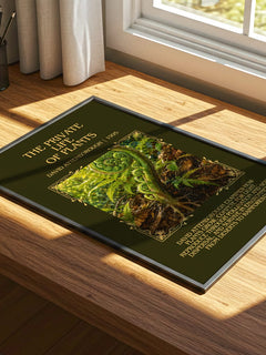 private life of plants Minimalist Book Poster by David Attenborough – print on a sunlit desk
