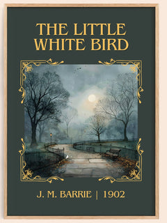 The Little White Bird Classic Book Art Print by J. M. Barrie – book poster