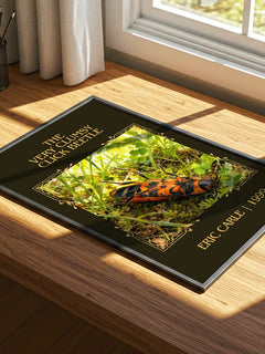 The Very Clumsy Click Beetle Classic Book Art Print by Eric Carle – print on a sunlit desk