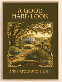 A Good Hard Look Classic Book Art Print by Ann Napolitano – book poster