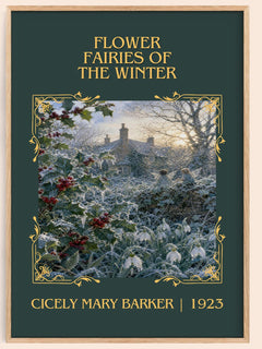 Flower Fairies of the Winter Classic Book Art Print by C. Barker – book poster