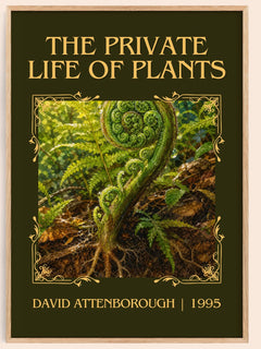 private life of plants Classic Book Art Print by David Attenborough – book poster