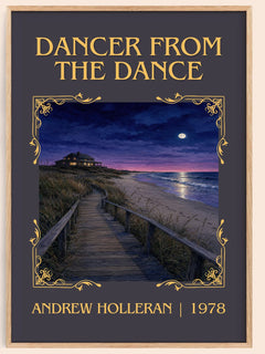 Dancer From The Dance Classic Book Art Print by Andrew Holleran – book poster