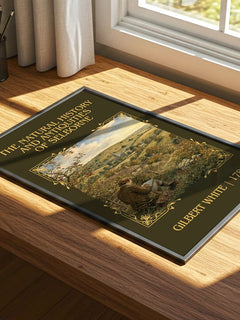 The Natural History and Antiquities of Selborne Classic Book Art Print by Gilbert White – print on a sunlit desk