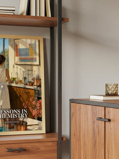 Lessons in Chemistry Book Watercolour Illustration by Bonnie Garmus – framed print on a shelf by a wooden cabinet