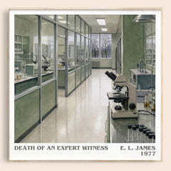 Death of an Expert Witness literary book poster by E. L. James – framed literary art print