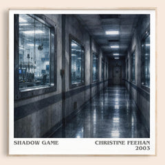 Shadow Game literary book poster by Christine Feehan – framed literary art print