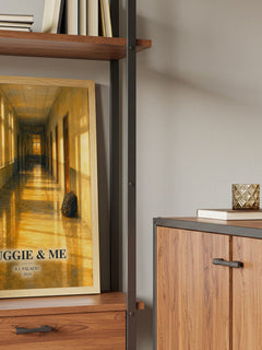 Auggie & Me Book Watercolour Illustration by R.J. Palacio – framed print on a shelf by a wooden cabinet