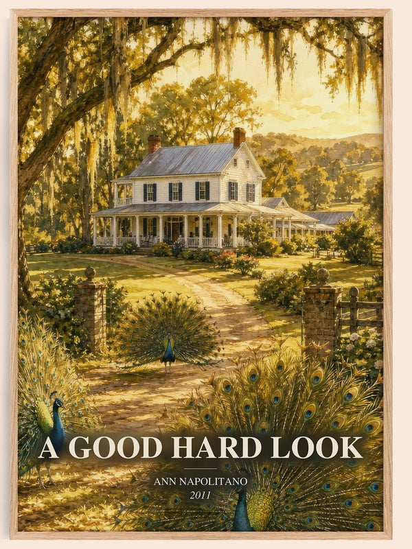 A Good Hard Look watercolour book poster by Ann Napolitano – framed literary art print