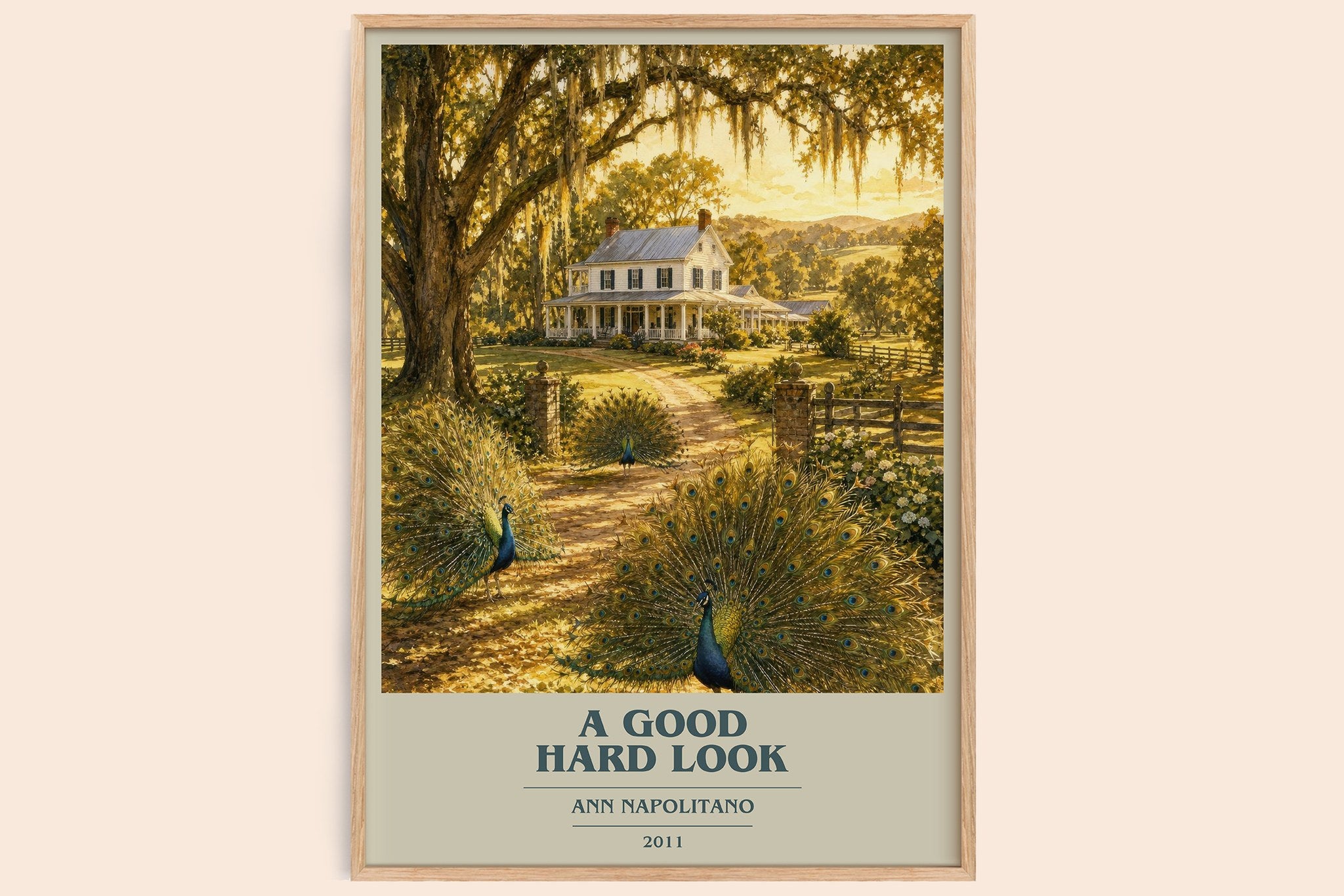 A Good Hard Look Book Cover Poster by Ann Napolitano