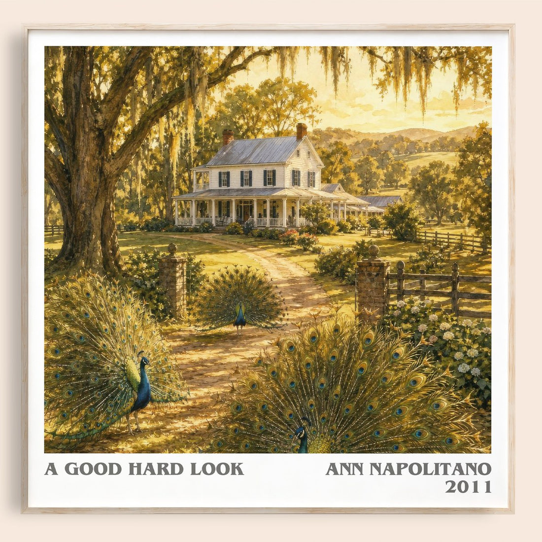 A Good Hard Look literary book poster by Ann Napolitano – framed literary art print