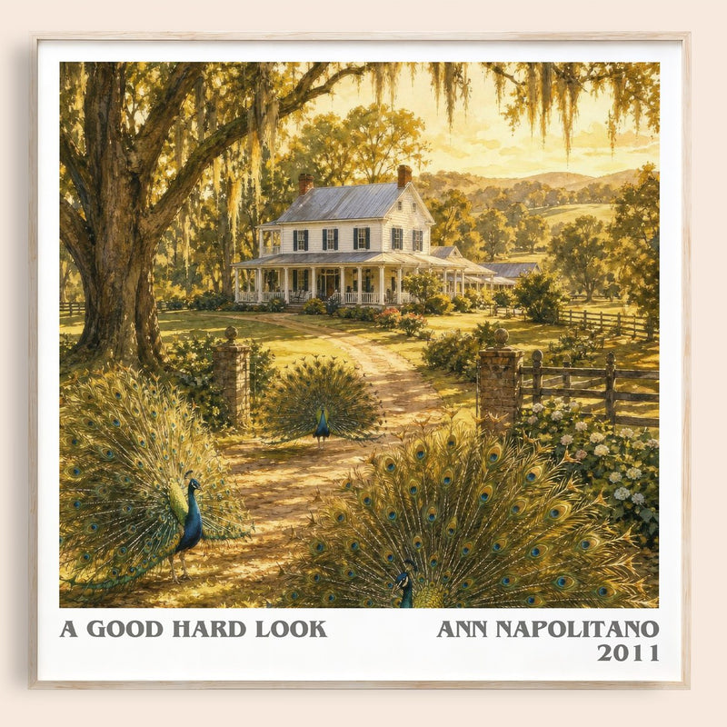 A Good Hard Look literary book poster by Ann Napolitano – framed literary art print