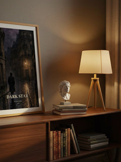 Dark Star watercolour print on bookshelf – Alan Furst fan gift