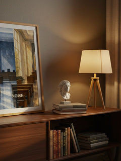 Noise watercolour print on bookshelf – Daniel Kahneman fan gift