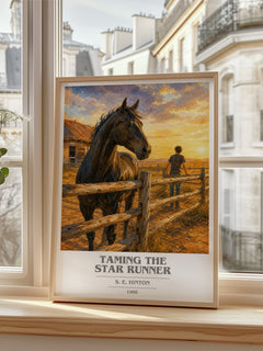 Taming the Star Runner book cover poster colour and style options – S. E. Hinton book art