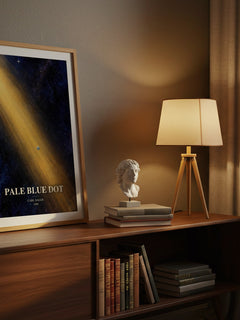 Pale Blue Dot watercolour print on bookshelf – Carl Sagan fan gift