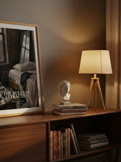 The rules of attraction watercolour print on bookshelf – Bret Easton Ellis fan gift