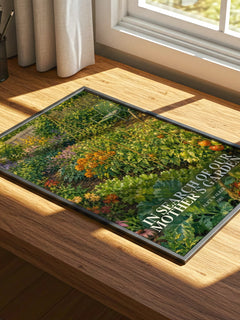 In Search of Our Mother's Garden watercolour book poster framed on wall – non fiction wall art