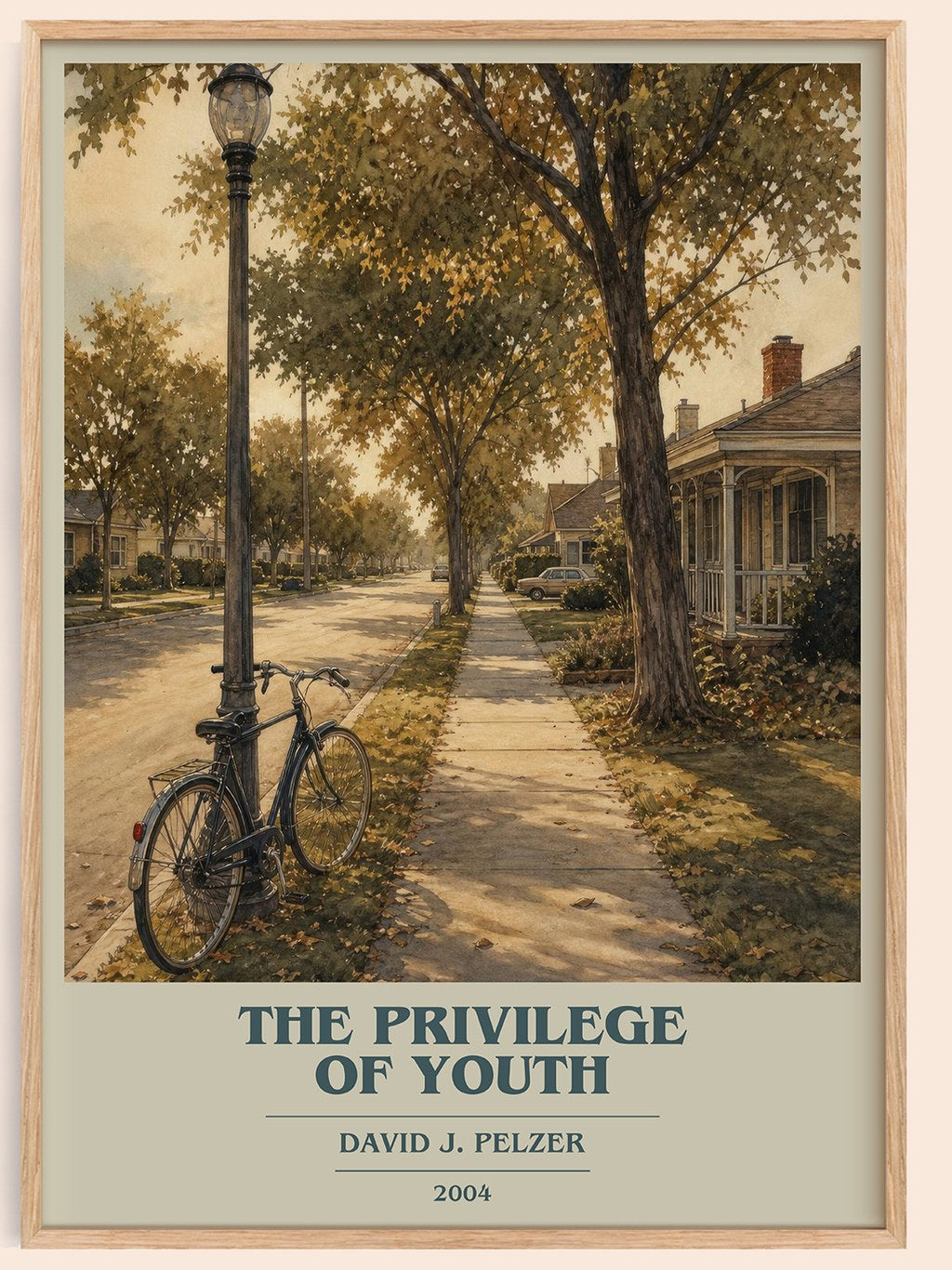 The Privilege of Youth book cover book poster by David J. Pelzer – framed literary art print