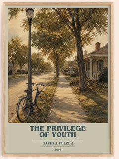 The Privilege of Youth book cover book poster by David J. Pelzer – framed literary art print
