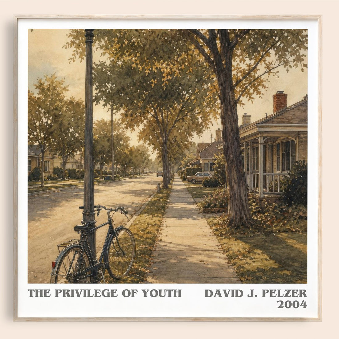 The Privilege of Youth literary book poster by David J. Pelzer – framed literary art print
