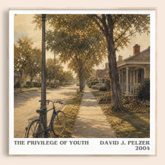 The Privilege of Youth literary book poster by David J. Pelzer – framed literary art print