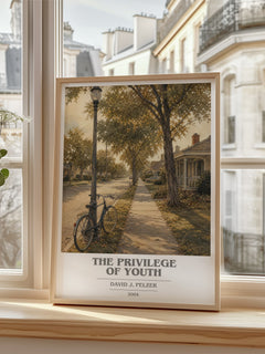 The Privilege of Youth book cover poster colour and style options – David J. Pelzer book art