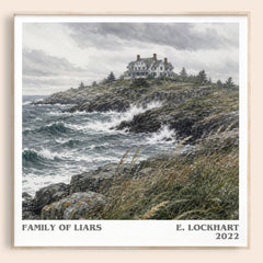 Family of Liars literary book poster by E. Lockhart – framed literary art print