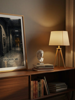 Shadow Me watercolour print on bookshelf – Tahereh Mafi fan gift