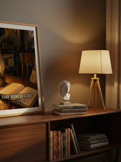 The Hired Girl watercolour print on bookshelf – Laura Amy Schlitz fan gift