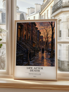 Life After Death book cover poster colour and style options – Sister Souljah book art