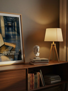 I Hope This Doesn't Find You watercolour print on bookshelf – Ann Liang fan gift
