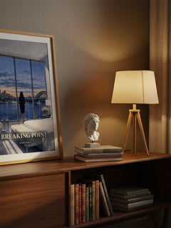 Breaking Point watercolour print on bookshelf – Emma Darcy fan gift