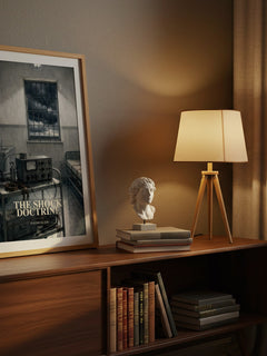 The Shock Doctrine watercolour print on bookshelf – Naomi Klein fan gift