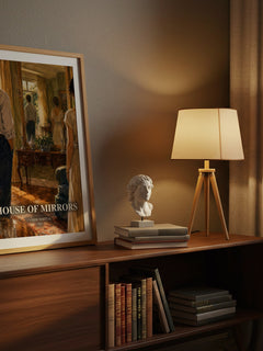 House of Mirrors watercolour print on bookshelf – Yvonne Whittal fan gift
