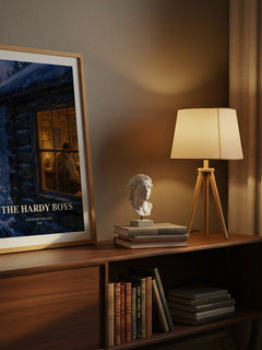 The Hardy boys watercolour print on bookshelf – Leslie McFarlane fan gift