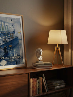 College physics watercolour print on bookshelf – Raymond A. Serway fan gift