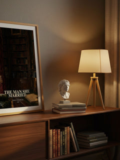 The Man She Married watercolour print on bookshelf – Violet Winspear fan gift
